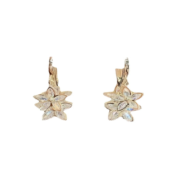 Crystal Fiorini Starry Aniseed Earrings - Trendy and Fashionable Gift