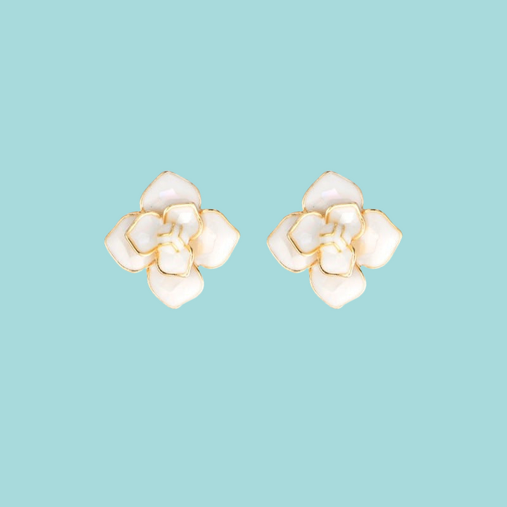 a pair of white flowers on a blue background